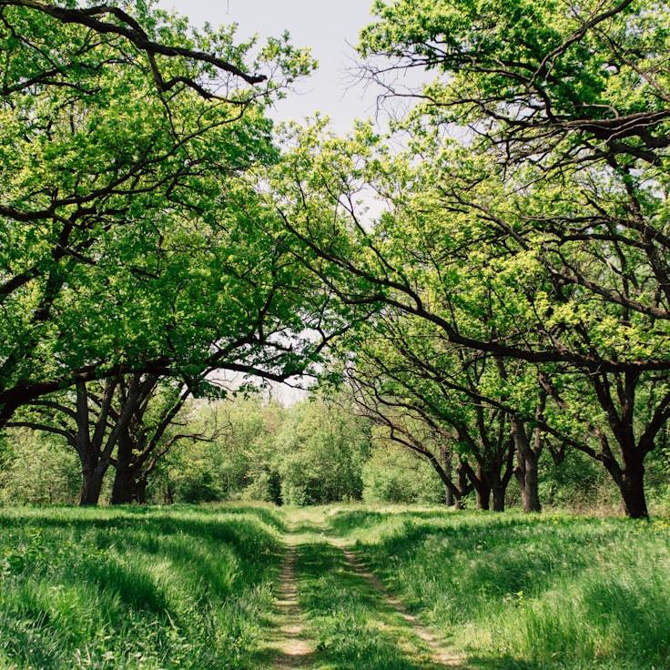 Nature travel hero image